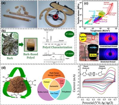 樹(shù)基生物聚合物作為可持續(xù)多功能材料的研究進(jìn)展