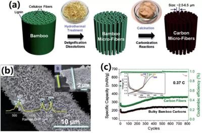 中科大俞漢青EES綜述:生物碳基材料在能量儲存與轉(zhuǎn)換中的應用