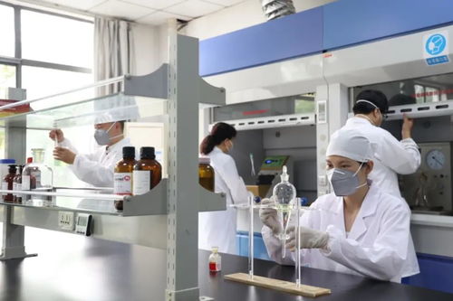 國(guó)內(nèi)最大 顛覆你的認(rèn)識(shí)