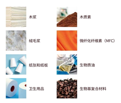 書贊桉諾堅持產(chǎn)品創(chuàng)新:助力低碳經(jīng)濟的蓬勃發(fā)展與戰(zhàn)略轉(zhuǎn)型