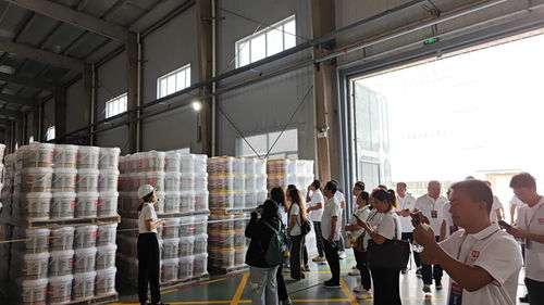 生態(tài)家園邁向高質(zhì)量發(fā)展 市場(chǎng)細(xì)分與品質(zhì)升級(jí)并行