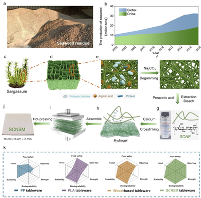 中科大俞書宏院士團隊AM:可食用、超強、熱穩(wěn)定好的海藻基結(jié)構(gòu)材料,可生物降解餐具新選擇!