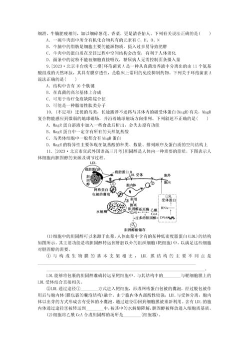 新教材2024高考生物二輪專題復(fù)習整合訓練1生命系統(tǒng)的物質(zhì)基礎(chǔ) 含解析
